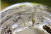 Glasimprovisationen